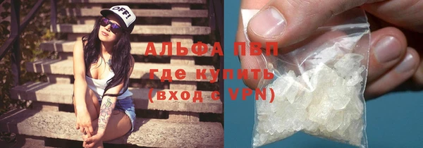 гашик Арсеньев