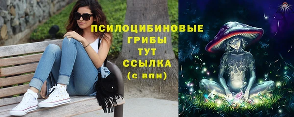 первитин Армянск