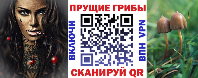 Галлюциногенные грибы мухоморы  Чернушка 
